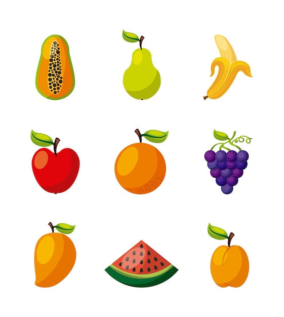 Healthy organic vegetarian foods related icons image