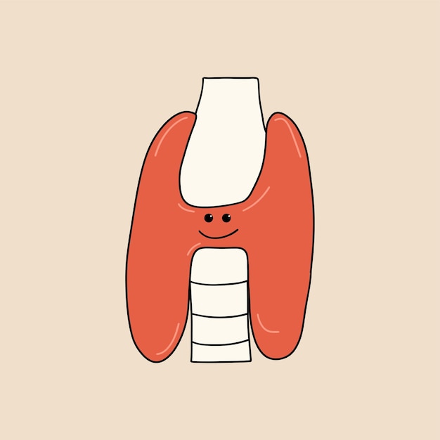 ベクトル 健康な甲状腺 漫画のスタイルの人間の臓器 フラット スタイルのベクトル図
