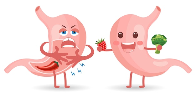 Vettore personaggi dello stomaco umano sani e malsani in stile cartone animato piatto. dieta sana. anatomia