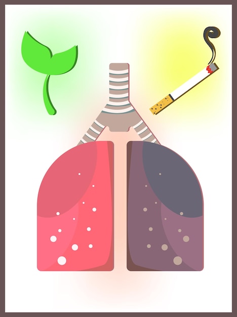 Vector healthy and unhealthy lungs simple vector illustration educational poster against smoking
