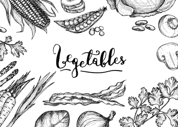 Vector healthy vegan food hand drawn background