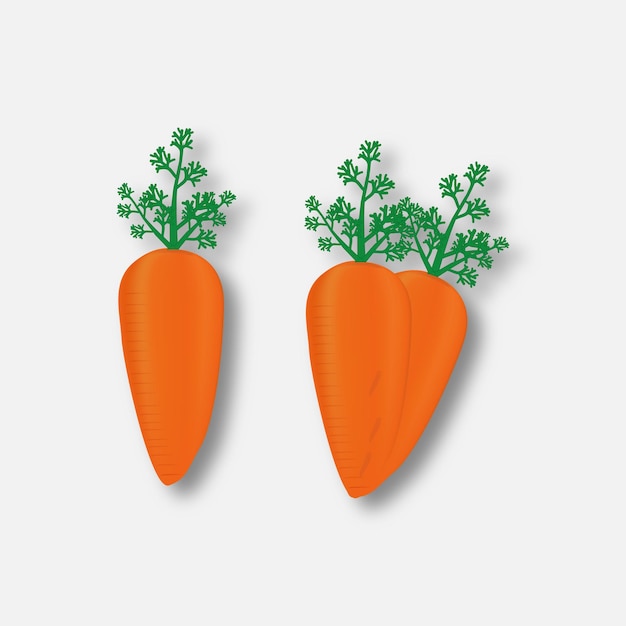 Healthy vegetables carrots graphic illustration.