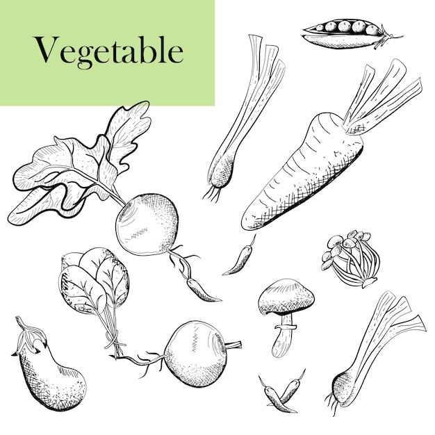 Vector healthy vegetables frame