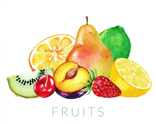 Vector heap of mixed fruits, hand drawn watercolor illustration