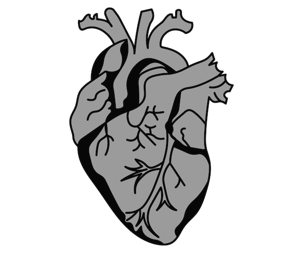 heart 1