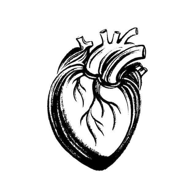 Сердце нарисовано черными чернилами. Текстура кисти. Векторная иллюстрация