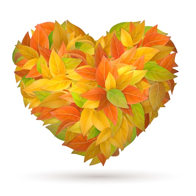 Heart from colorful autumn leaves. 