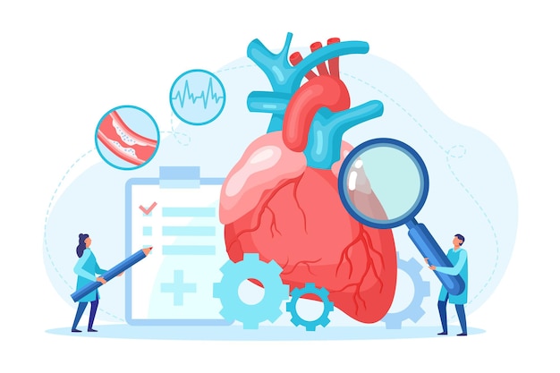 Vector heart health check up and tiny cardiology specialist with magnifying glass take care professional medical examination pulse cardiogram. health care and disease diagnostic concept. vector illustration