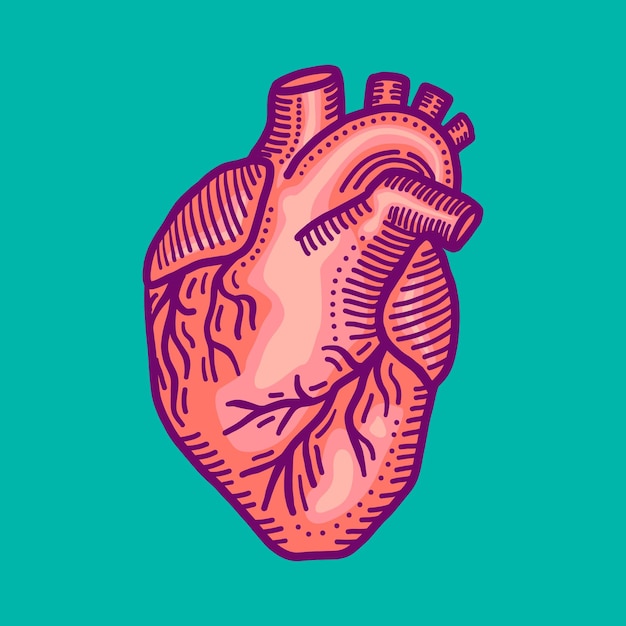 Vettore icona del cuore illustrazione disegnata a mano dell'icona del vettore del cuore per il web design