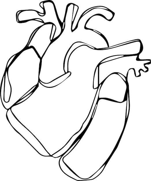 Heart Line Art Illustratie