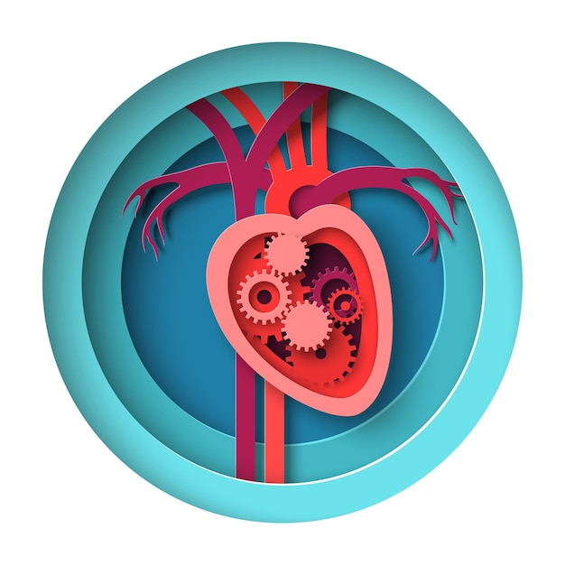 Heart mechanism medical paper cut craft vector