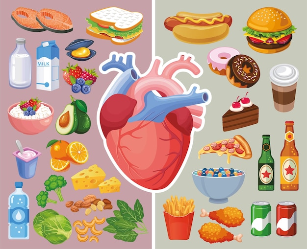 Heart organ with healthy foods and unhealthy foods illustration