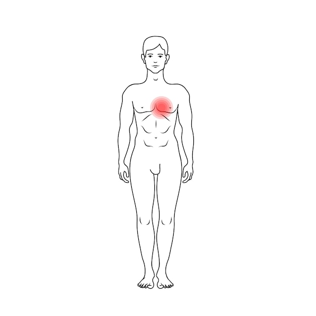 Vettore segno rosso del dolore del cuore sulla sagoma nera del profilo del modello anatomico dettagliato del corpo degli uomini nella vista frontale isolata su bianco