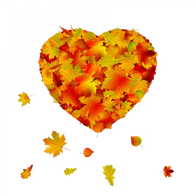 A forma di cuore realizzato in foglia d'autunno.