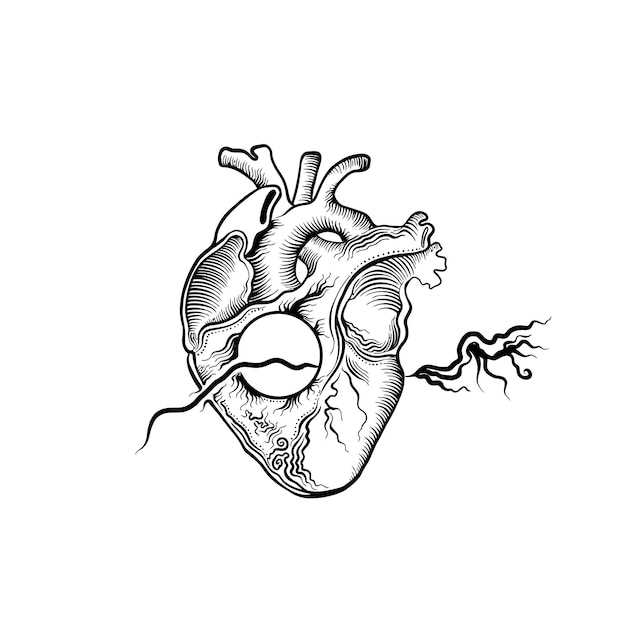 Vector heart silhouette
