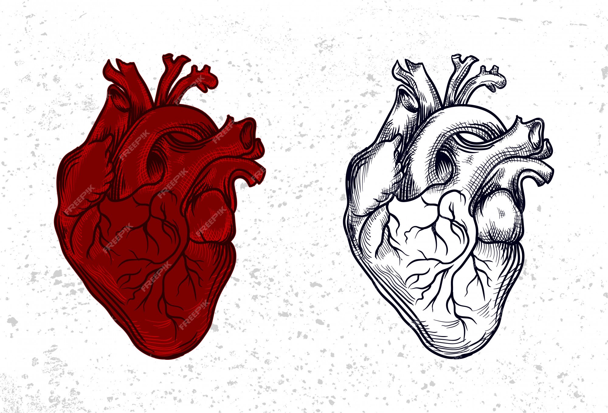 Premium Vector | Heart with vintage style