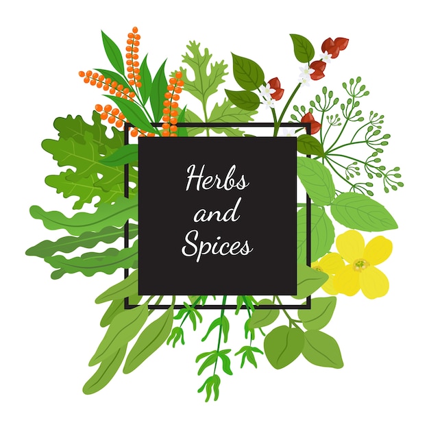 Vector hebs and spices frame