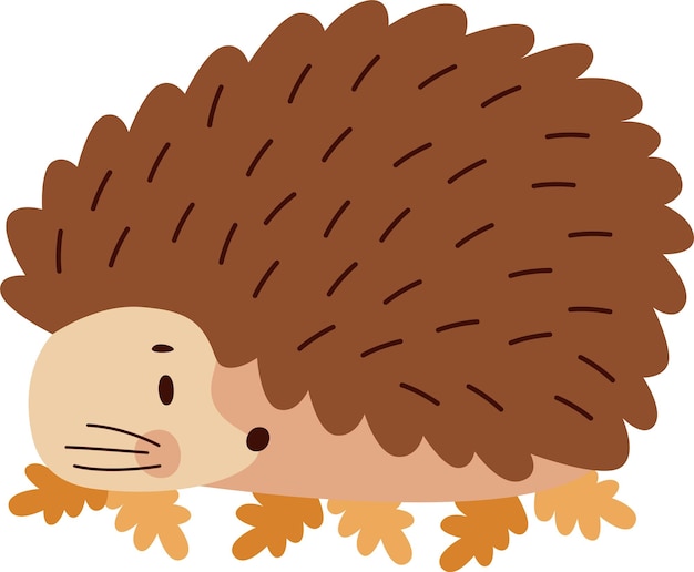 Vector hedgehog lying on leaves