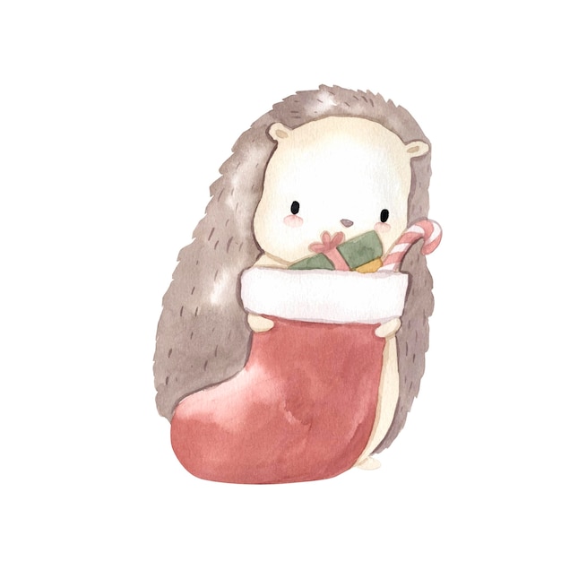 Hedgehog watercolor illustration for kids