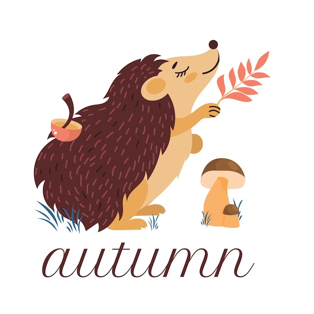 Ежик с осенними листьями и грибами. Симпатичный персонаж для осеннего дизайна в мультяшном стиле. Клипарт на белом фоне