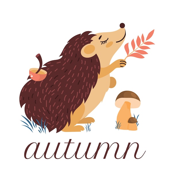 Hedgehog with autumn leaves and mushrooms. A cute character for autumn design in a cartoon style. Clipart on a white background