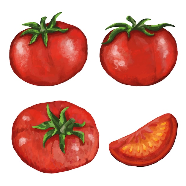 Heerlijke rijpe tomaten Oogst Vectorillustratie