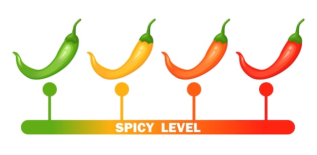 Heet pittig niveau met vlam peper Infographic ontwerpsjabloon met rode hete chili peper op Vector