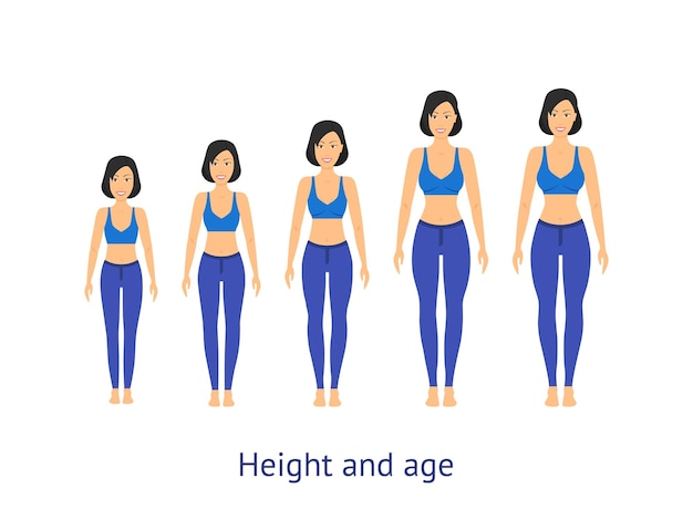 ベクトル 女の子から女性へのベクトルの成長の身長と年齢の段階
