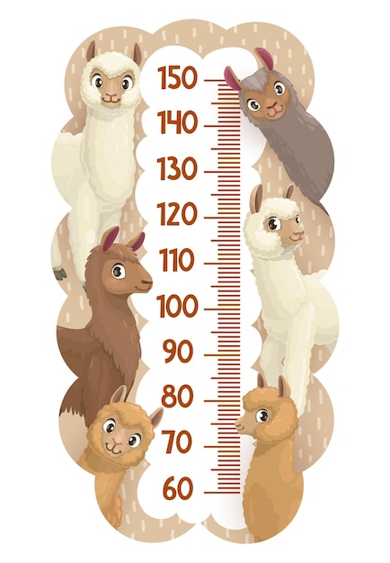 Grafico dell'altezza o righello per la misura della crescita con animali vettoriali dei cartoni animati di lama, alpaca, guanaco e vigogna. scala di misurazione del grafico dell'altezza dei bambini con simpatici agnelli lama, alpaca e guanaco