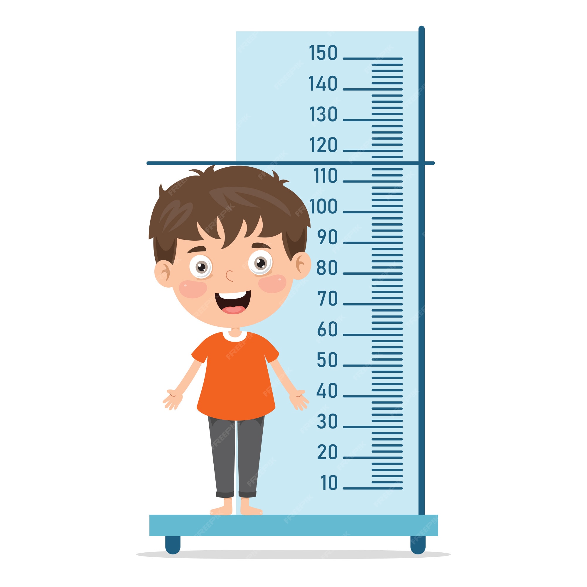 Premium Vector  Height measure for little children