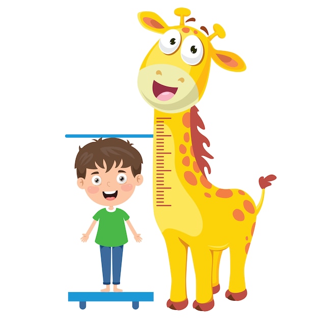 Vector height measure for little children