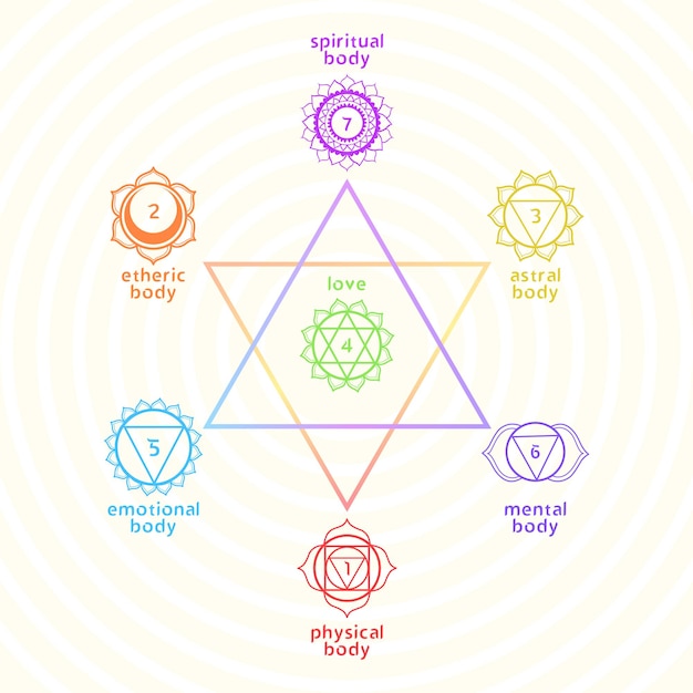 Heilige geometrie met chakra-mandala's Energielichaamsnamen Vectorillustratie voor spirituele praktijken