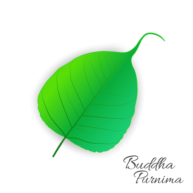 Heilige vijg of pipal boom blad boeddha purnima of vesak dag vectorillustratie