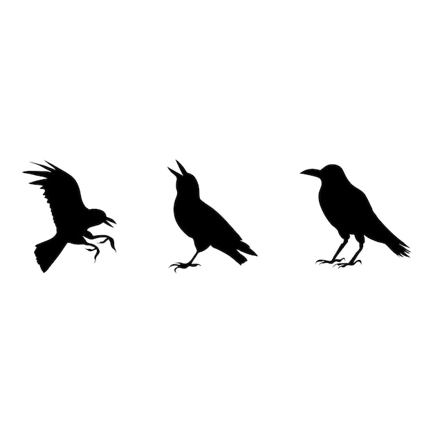 Heks halloween crow silhouet op witte achtergrond. geïsoleerde vector dierlijke sjabloon