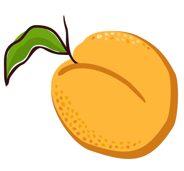 Vector helder oranje fruit met tak en blad.