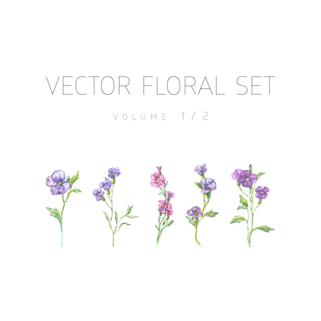 Heldere aquarel set van vector bloemen met blad geïsoleerd op een witte achtergrond