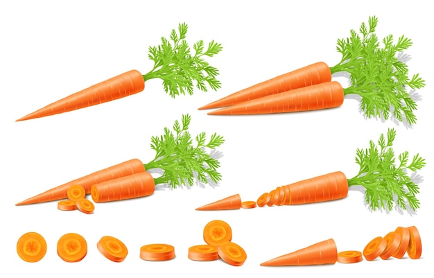 Heldere vector set van kleurrijke helften plakjes en hele wortelen met groene stengels Verse groente geïsoleerd op witte achtergrond Realistische 3D-vectorillustratie Voor het koken van reclamemenu