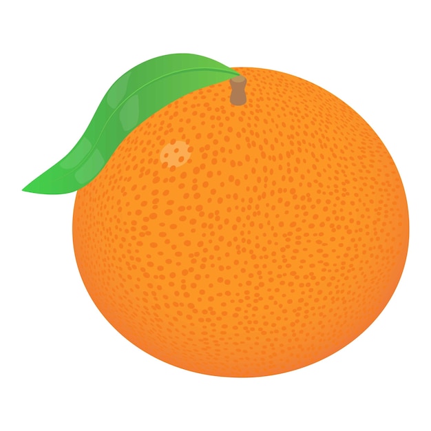 Hele grapefruit pictogram Isometrisch van hele grapefruit vector pictogram voor webdesign geïsoleerd op een witte achtergrond
