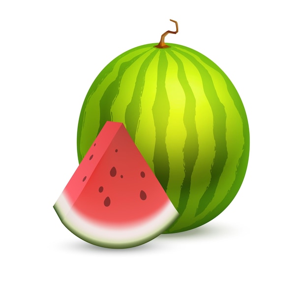 Hele mooie watermeloen met een plakje rijp fruit Geweldig vectorpictogram van smakelijk fruit dat op wit wordt geïsoleerd