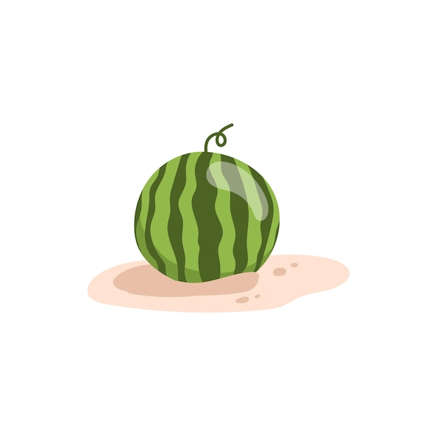 Hele watermeloen op zandstrand geïsoleerde gestreepte zomerbes met gekrulde stengel platte cartoon icoon Vector groene watermeloen gezonde voeding dieet biologisch dessert op zand zomerfruit snack