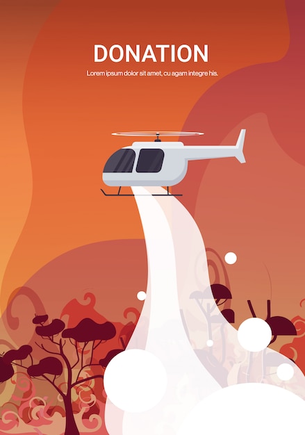 Helicopter extinguishes dangerous wildfire in australia fighting bushfire dry woods burning trees firefighting natural disaster donation concept intense orange flames illustration