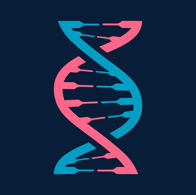 나선 유전자 DNA 구조 벡터 유전 코드 아이콘