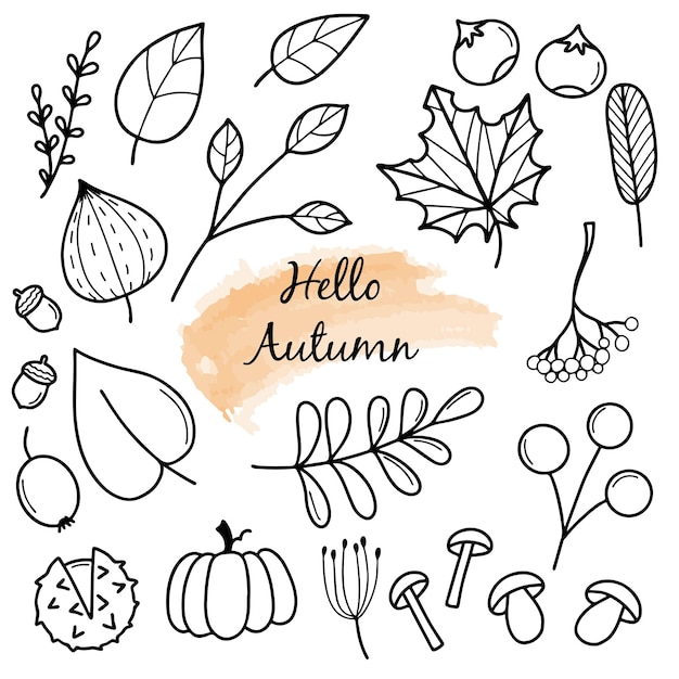 Hello Autumn Autumn harvest symbols Set of autumn elements leaves berries fruits vegetables mushrooms acorns Handdrawn sketch Vector illustration in doodle style