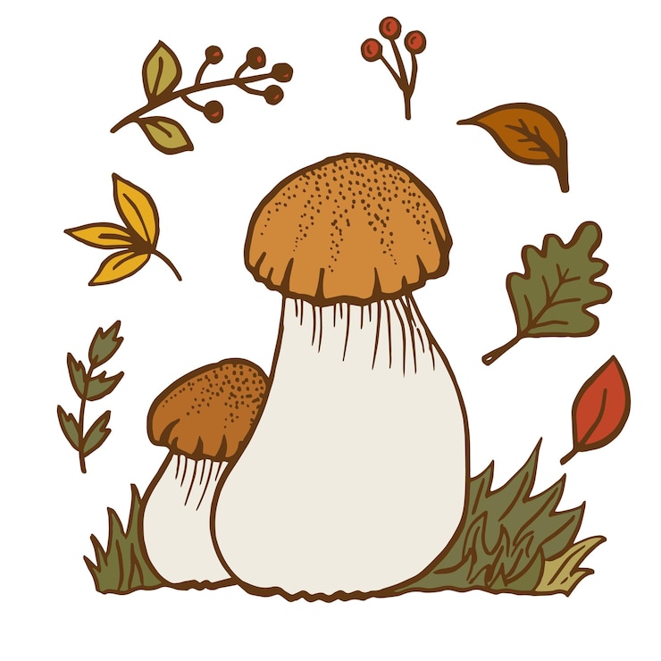 Вектор hello autumn символы осеннего урожая набор осенних элементов оставляет ягоды и грибы ручной рисунок векторная иллюстрация в стиле каракулей