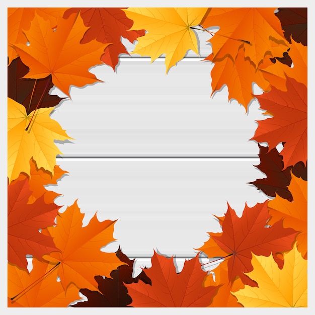 Hello autumn background with colorful leaves on wooden board