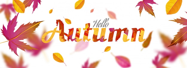 Hello Autumn Banner.