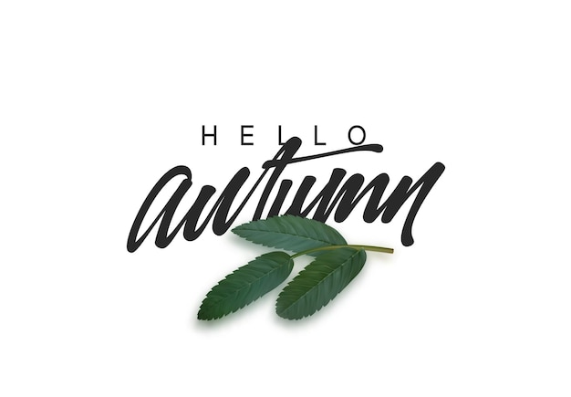 Hello Autumn, black text handwritten calligraphy. Vector illustration.