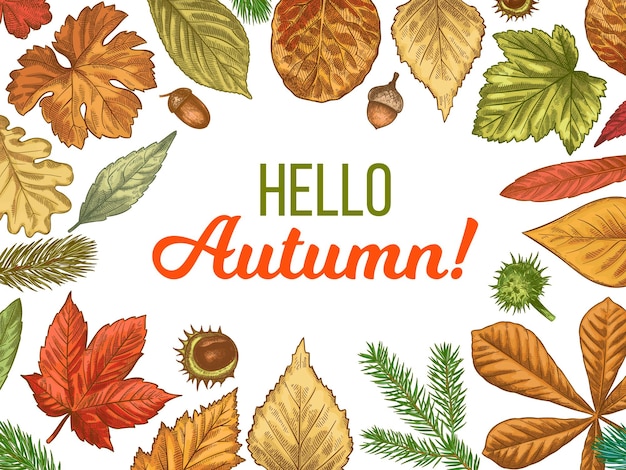 Vector hello autumn card with leaves frame