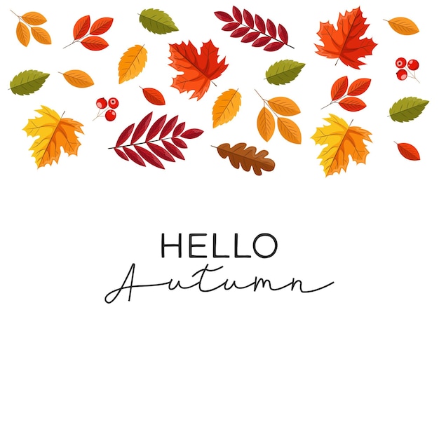 Hello autumn, fall leaves flat, colorful leaves isolated set, autumn elements, fall banner