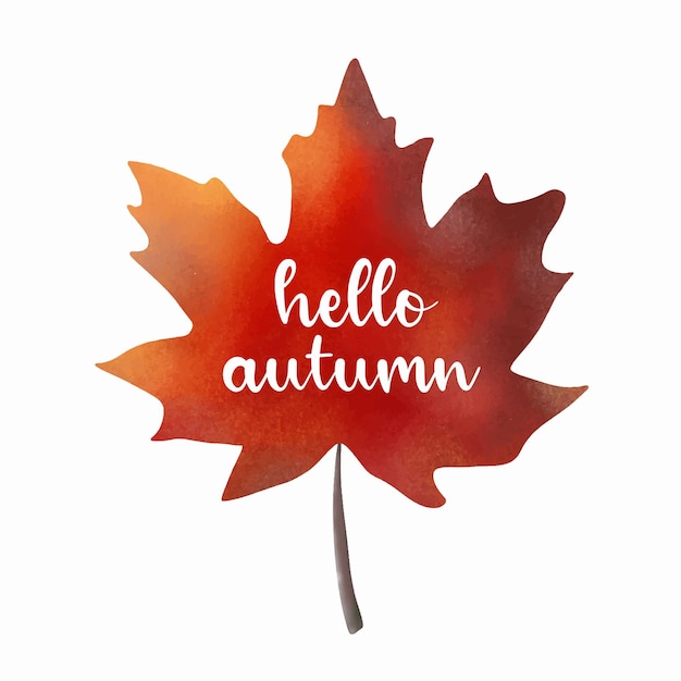 Hello autumn hand lettering phrase on orange maple leaf background